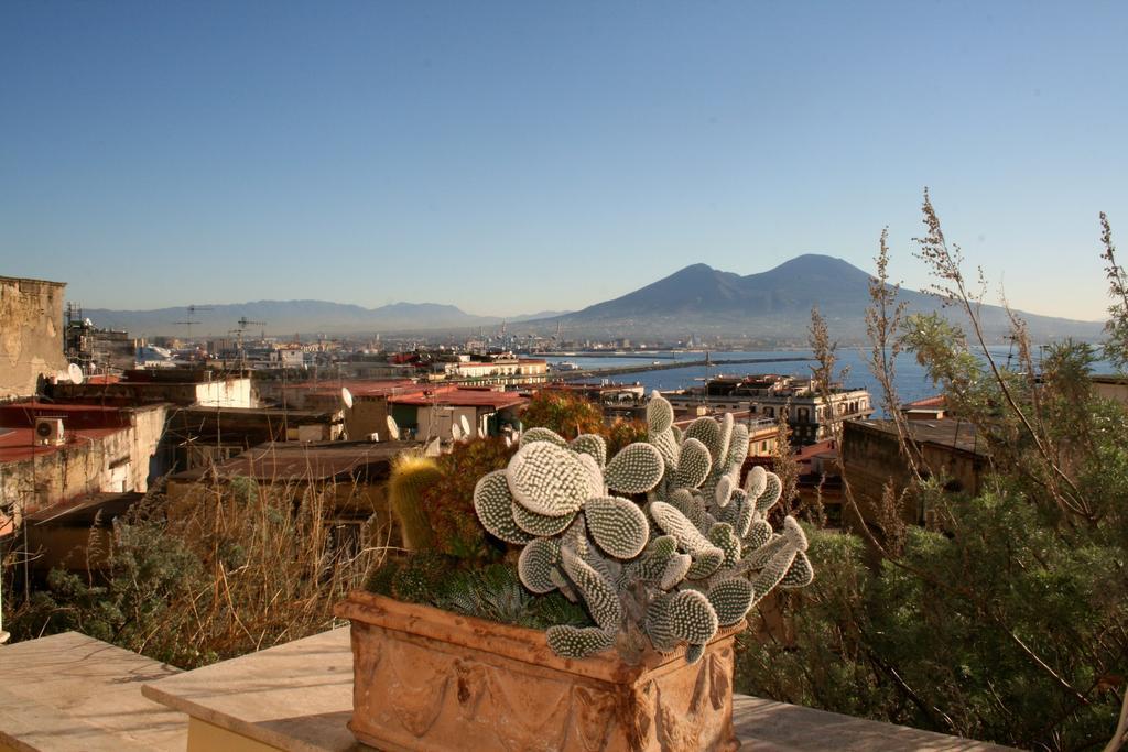Alma De Templarsf - Stunning Design With Sea View And Terrace Appartement *